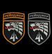 Шеврон, нарукавний знак "Рейнджер" на липучці, з вишивкою (Ш рейнджер_помаранчев)